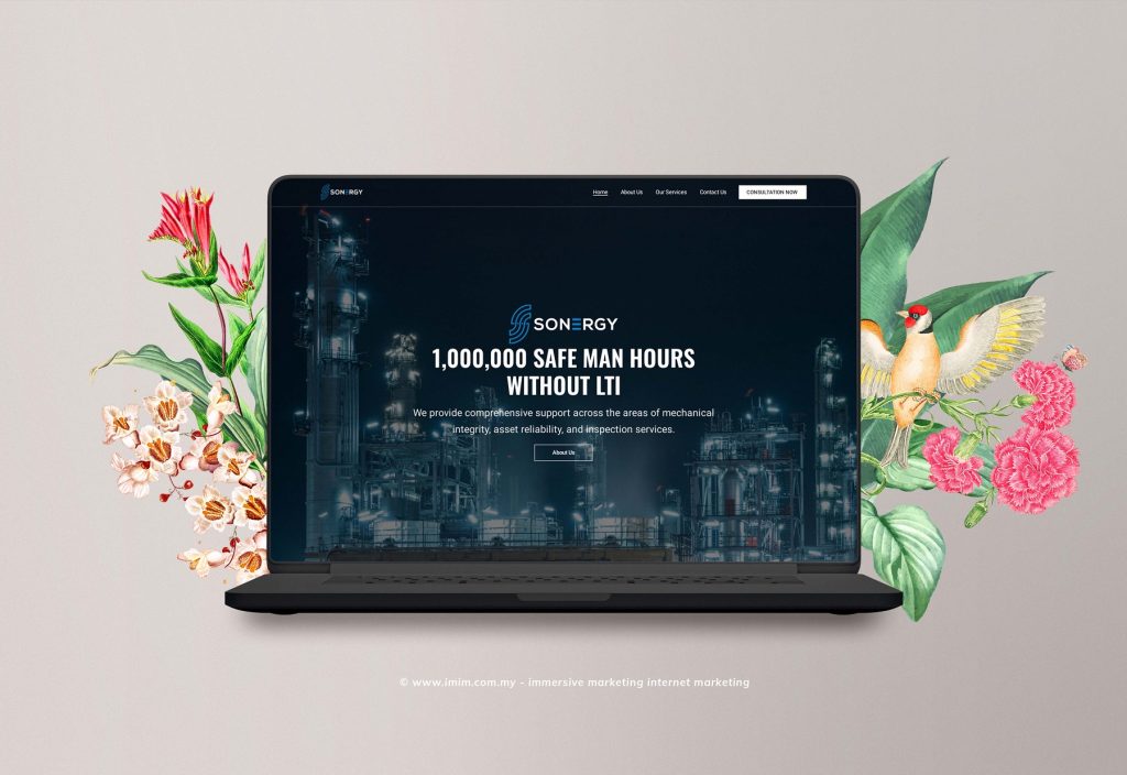 Sonergy Web Design Portfolio a mockup screen from website designer in Pj Malaysia by IMIM